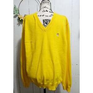 Express Sweater V neck